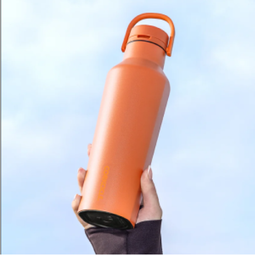 Corkcicle