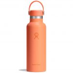 Standard Mouth 18 oz - Nectar Orange