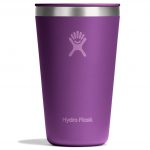 All Around Tumbler 16 oz - Beachplum Purple