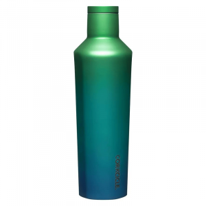 Canteen Dragonfly 16 oz