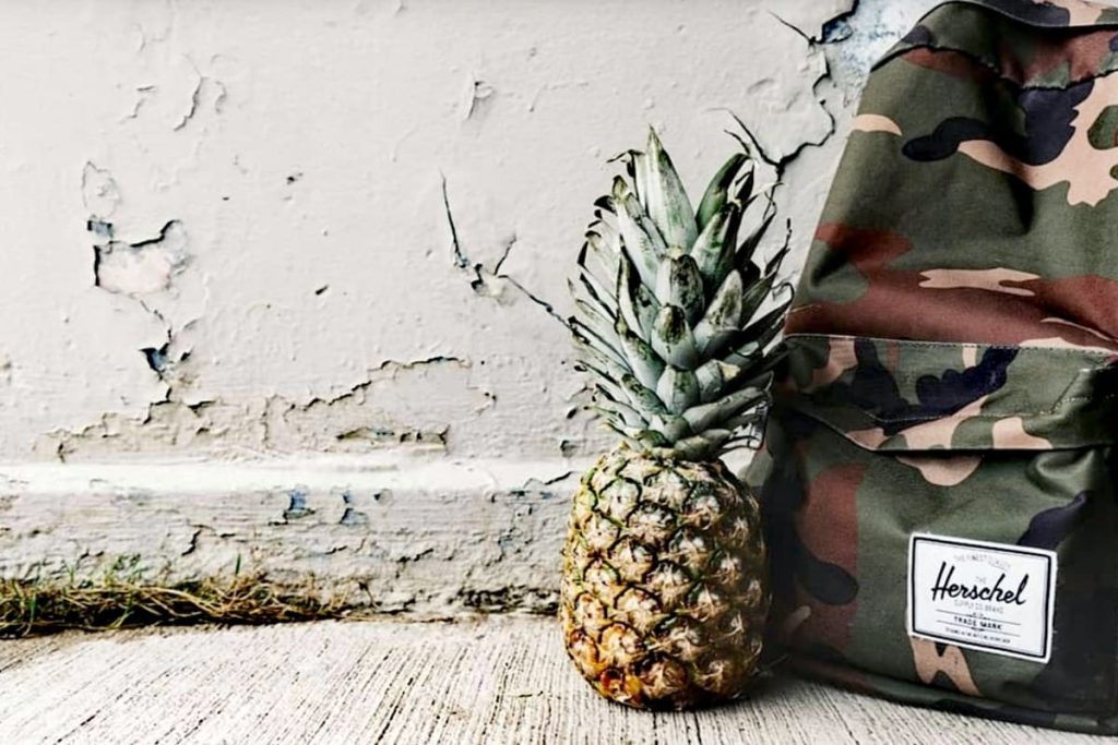 Perawatan Tas Herschel