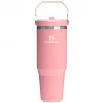 Iceflow™ Flip Straw Tumbler 30 oz - Pink Mesa
