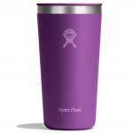 All Around Tumbler 20 oz - Beachplum Purple