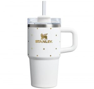 Holiday Edition - Quencher H2.0 Flowstate™ Tumbler 20 oz Frost Polka Dot