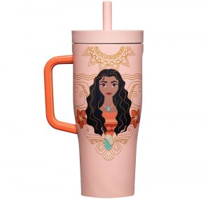Disney Princess Cruiser 22 oz