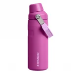 IceFlow™ AeroLight Bottle with Fast Flow Lid  16 oz - Dark Blossom