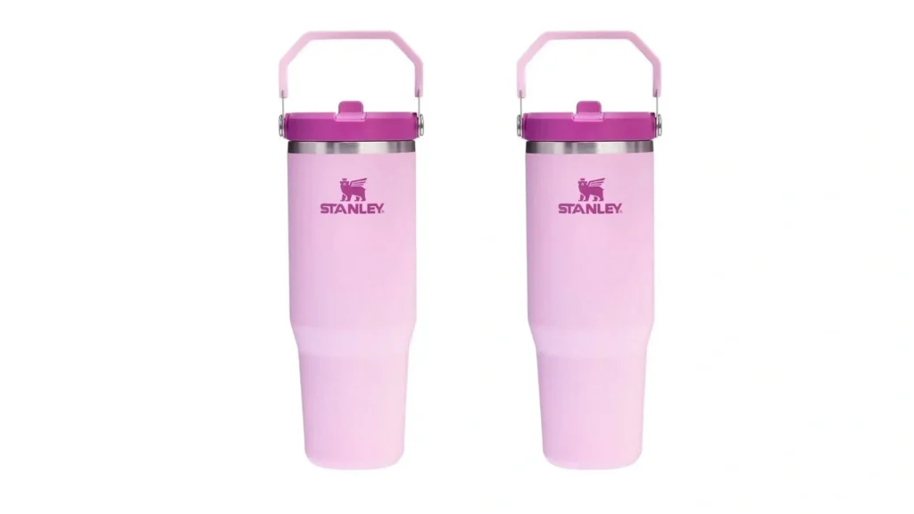 Stanley IceFlow Flip Straw 30 oz Review Lengkap 2026: Worth It atau Tidak?