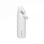 IceFlow™ AeroLight Bottle with Fast Flow Lid  24 oz - Frost
