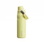 IceFlow™ AeroLight Bottle with Fast Flow Lid  24 oz - Pomelo