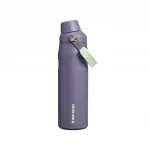 IceFlow™ AeroLight Bottle with Fast Flow Lid  24 oz - Purple Umbra