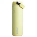 Iceflow™ Aerolight Flip Straw Tumbler 24 oz - Pomelo