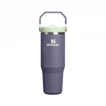 Iceflow™ Flip Straw Tumbler 30 oz - Purple Umbra